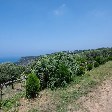 Tra Cielo E Mare & La Dependance - Fantastic Sea View 公寓 阿纳卡普里